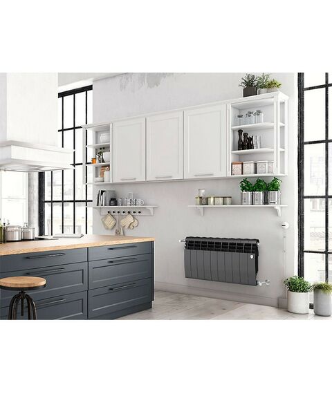 Радиаторы: Радиатор Royal Thermo BiLiner 350 /Noir Sable 4 секций [RTBNS35004] фотографии