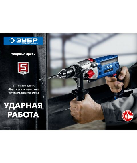 Дрели и шуруповерты: Дрель ударная Зубр Профессионал ДУ-П850-2 ЭРМК 850 Вт, 2-х скоростная, кейс фотографии