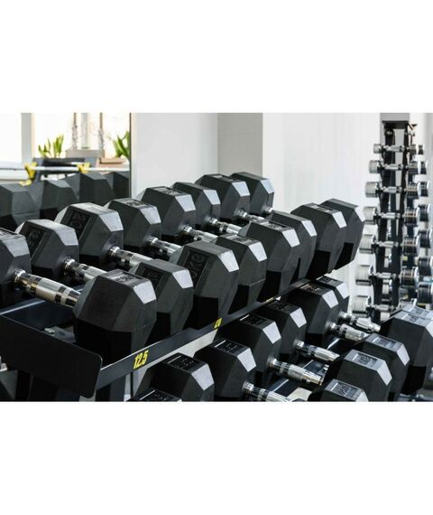 Гантели:  Гантель гексагональная обрезиненная PROFI-FIT 15 кг фотографии