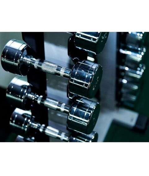 Гантели:  Гантельный ряд CHROME (шаг 1 кг, 10 пар) PROFI-FIT 1-10 кг фотографии