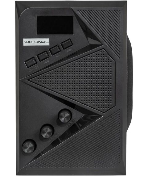 Колонки: Активная акустика National NAS-1290 фотографии