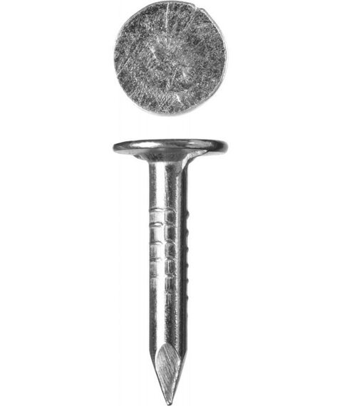 Гвозди: Гвозди с большой потайной головкой Зубр 20 х 3.0 мм 5 кг, оцинкованные [305090-30-020] фотографии