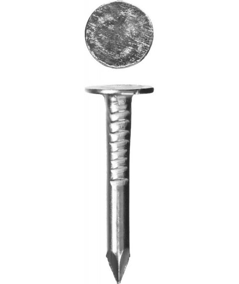 Гвозди: Гвозди с большой потайной головкой оцинкованные Зубр 25 х 3.0 мм 5 кг [305090-30-025] фотографии