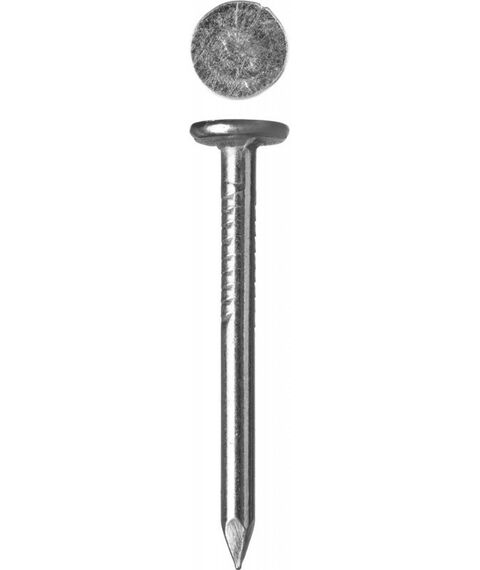 Гвозди: Гвозди с большой потайной головкой Зубр 40 х 3.0 мм оцинкованные, 5 кг [305090-30-040] фотографии