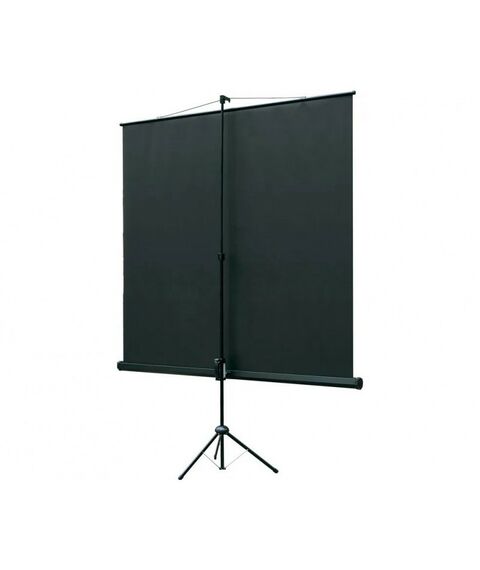 Экраны для проекторов: Экран на штативе Lumien Eco View 183x244см Matte White раб.область 175х236 см [LEV-100112] фотографии