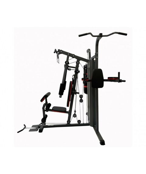 Грузоблочные силовые тренажеры: Силовой комплекс DFC D7006 3 короба + 2 груза фотографии