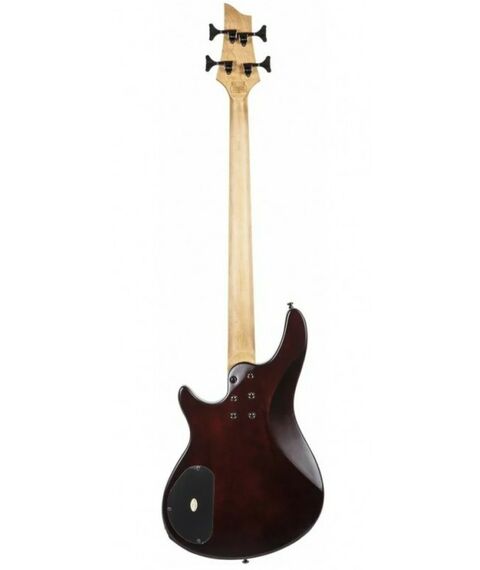 Бас-гитары: Гитара бас SCHECTER SGR C-4 BASS WSN 4 струны, корпус липа, гриф клен, лады 24 Medium, менз. 34" фотографии