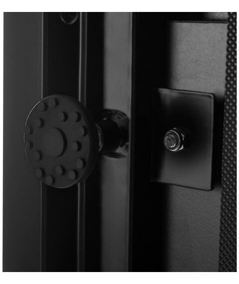 Беговые дорожки: Беговая дорожка Titanium Masters Slimtech C150 фотографии