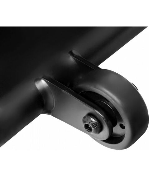 Беговые дорожки: Беговая дорожка Titanium Masters Physiotech X-Compact фотографии