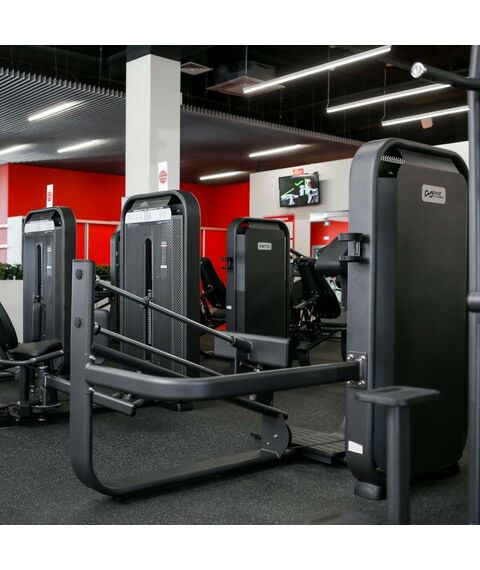 Грузоблочные силовые тренажеры: Жим ногами (Leg Press) DHZ E7003 стек 115 кг фотографии