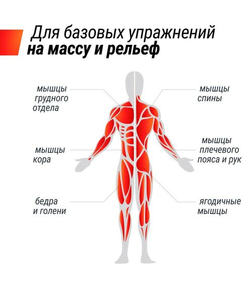 Грифы для штанги:  3 в 1 24 кг фотографии