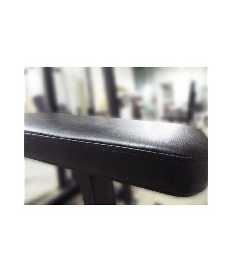 Сгибание ног лежа 100 кг AV214/80 фотографии