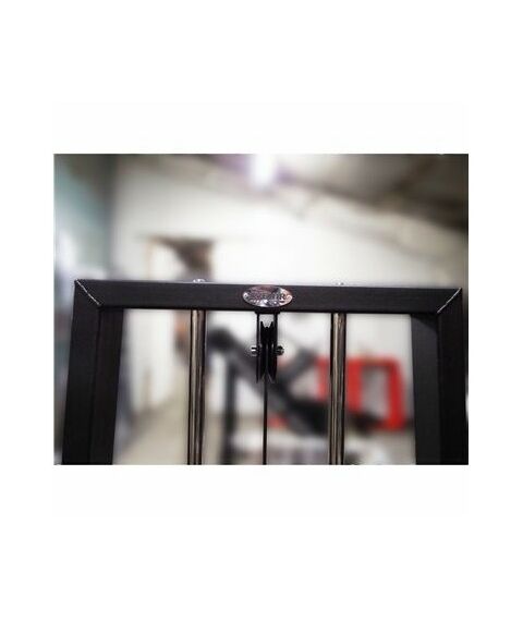 Торс машина 60 кг AV221/80 фотографии