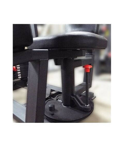 Торс машина 60 кг AV221/80 фотографии