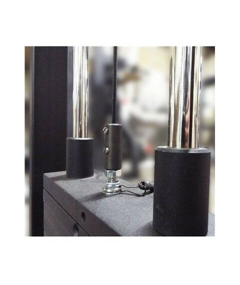 Торс машина 60 кг AV221/80 фотографии