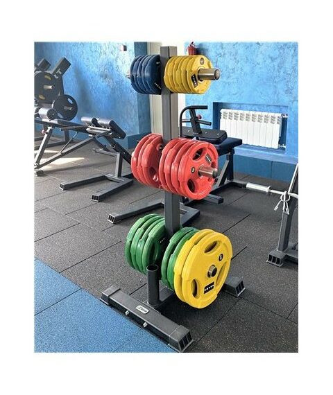 Подставка для олимпийских грифов и дисков AV608/80 фотографии