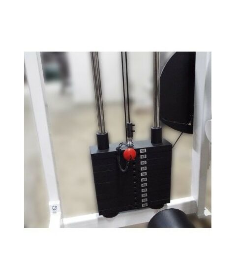 Пресс-бэк машина 2 в 1 60 кг AV247/80 фотографии