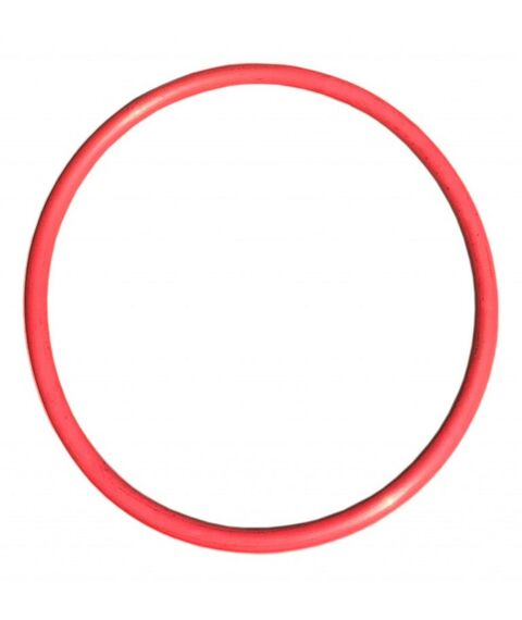 Комплектующие для автоклавов:  Кольцо уплотнительное, круглое сечение для автоклава на 22 л фотографии