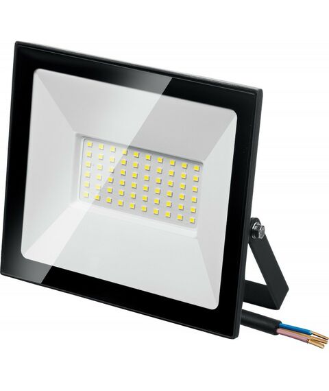 Осветительные приборы: Светодиодный прожектор Зубр Профессионал ПСК-50 50 Вт, 6500К IP65 [57141-50] фотографии