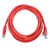 Патч-корд ACD ACD-LPU5E-50R Cat5e UTP 24AWG 4Pair, 7/0.18мм CCA Красный, 5.0м фотографии