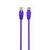 Патч-корд Cablexpert PP12-0.5M/V UTP, кат.5e, 0.5м, литой, многожильный, фиолетовый фотографии