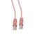 Патч-корд Cablexpert PP12-2M/RO UTP, кат.5e, 2м, литой, многожильный, розовый фотографии