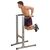 Турники и брусья: Брусья Body-Solid DIP STATION GDIP59 фотографии