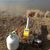 Отпугиватели для животных и насекомых: Комплект отпугивателя птиц  Zon EL08 Single Megaphone с пультом ДУ фотографии
