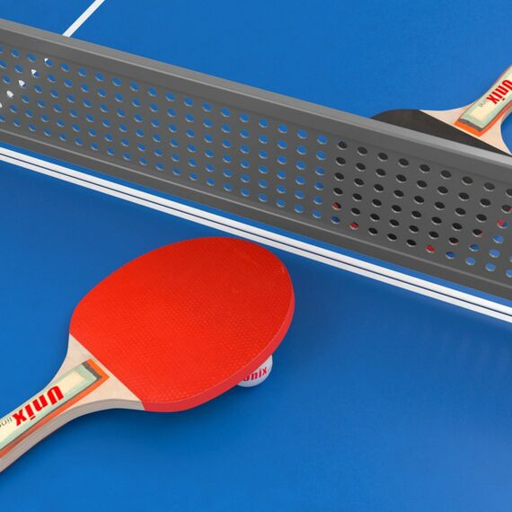 UNIX line Антивандальный теннисный стол 14 mm SMC (Blue/Grey) фотографии