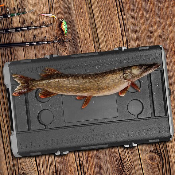 Компрессорный автохолодильник Meyvel AF-H80 фотографии