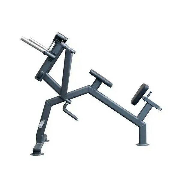 Задняя дельта с упором в грудь Gymmaster SS-26 фотографии