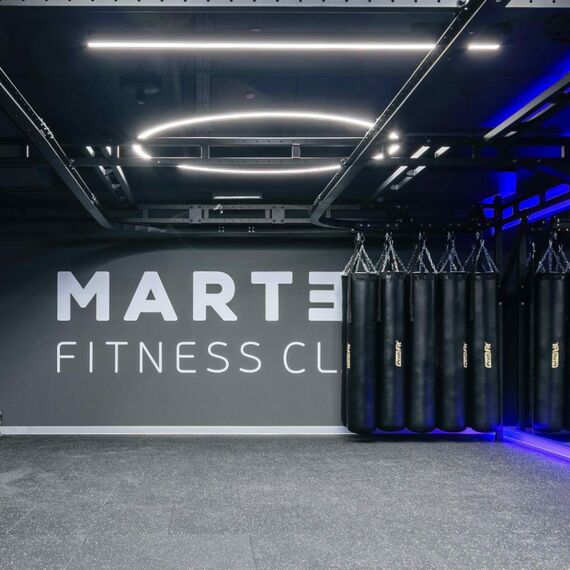 Мешок боксерский PROFI-FIT 70 кг 1180х350 мм резиновая крошка фотографии