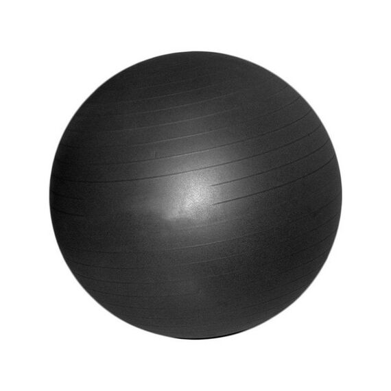 Мяч гимнастический  Gym Ball Anti-Burst 55 см фотографии