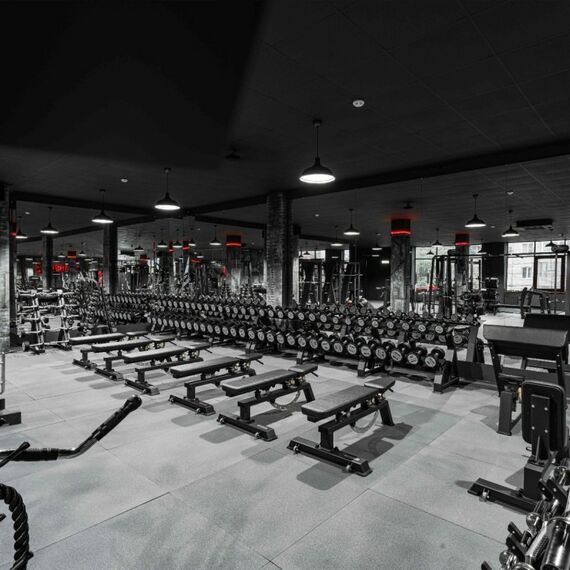 Гантельный ряд полиуретановый PROFI-FIT 27.5-37.5 кг шаг 2.5 кг, 5 пар фотографии