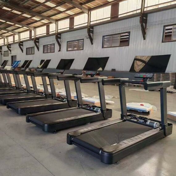 Беговая дорожка Gymmaster LZX-L30T фотографии