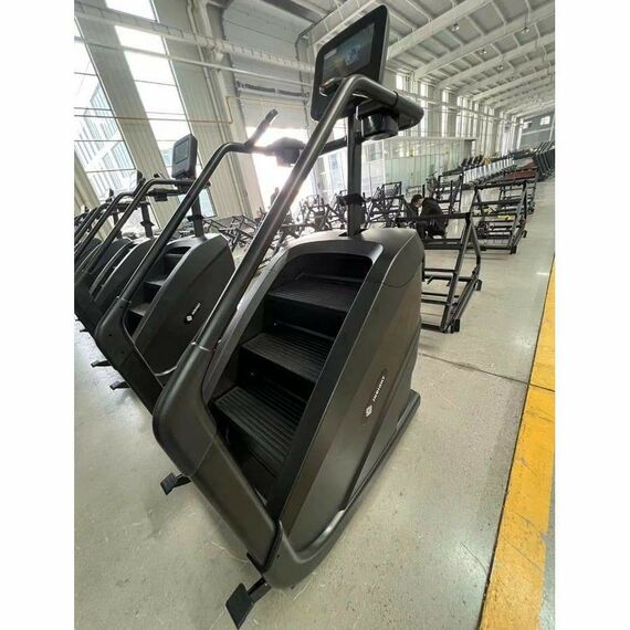 Лестница-степпер INSIGHT Fitness EB8900 (LCD) фотографии