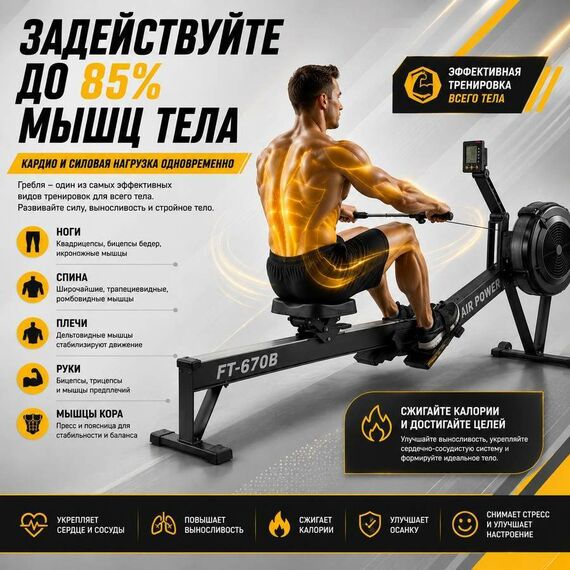 Гребной тренажер Gymmaster FT-670B фотографии
