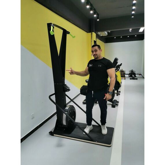 Лыжный тренажер INSIGHT Fitness XF02 фотографии