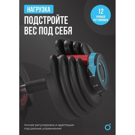 Гантель регулируемая Oxygen Fitness FLEXER 24 24 кг фотографии