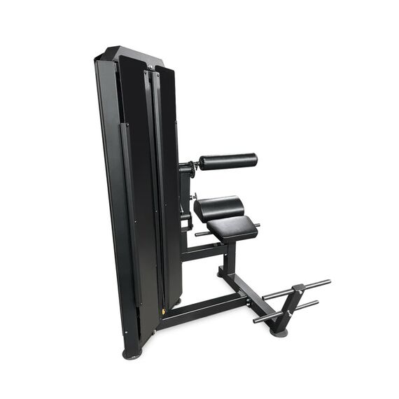 Тренажер для разгибания спины BRONZE GYM PARTNER ML-813 профессиональный фотографии