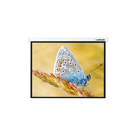 Экраны для проекторов: Экран с электроприводом Lumien Master Control MW 244 x  244 см [LMC-100105] фотографии