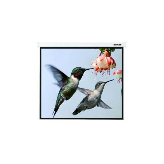 Экраны для проекторов: Экран Lumien Master Picture 150" NTSC MW 229  x 305 см [LMP-100112] фотографии