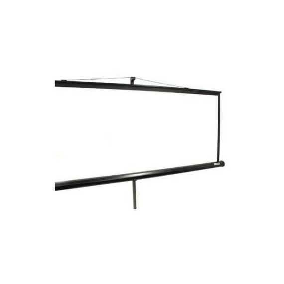 Экраны для проекторов: Экран на треноге Lumien Master View MW 203 x 203cm (109", 1:1) [LMV-100109] фотографии