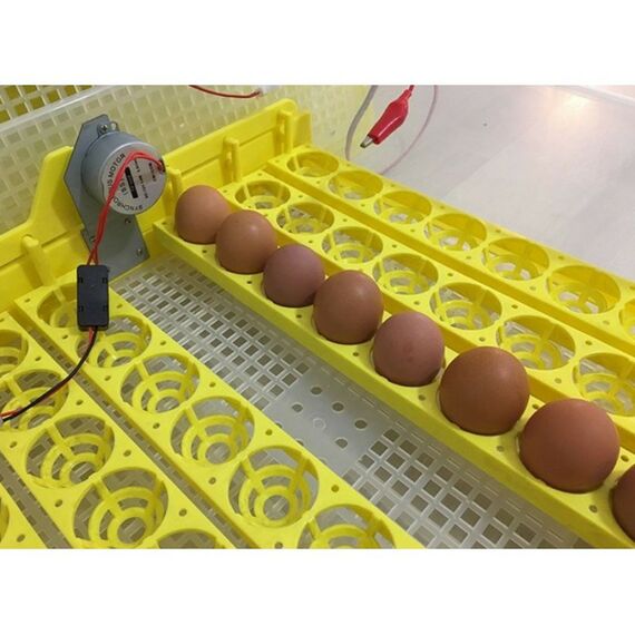 Инкубаторы: Инкубатор автоматический SITITEK 96 фотографии