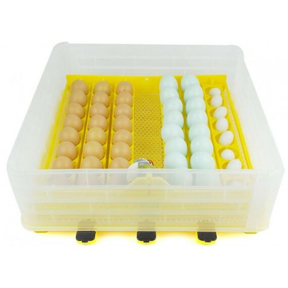 Инкубаторы: Инкубатор автоматический SITITEK 96 фотографии