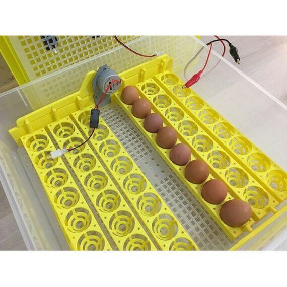 Инкубаторы: Инкубатор автоматический SITITEK 96 фотографии