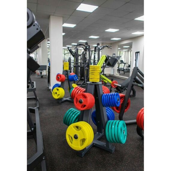 Системы хранения: Стойка для дисков PROFI-FIT 1230, нагрузка до 900 кг фотографии