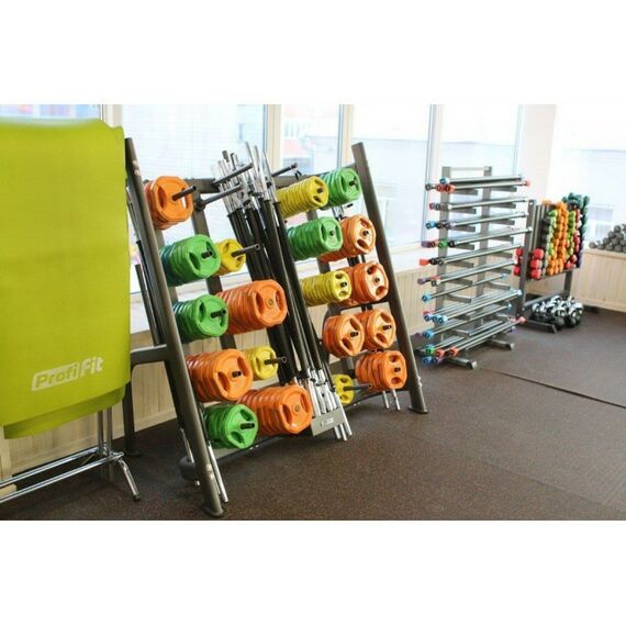 Фитнес оборудование: Штанга для аэробики PROFI-FIT 20090, обрезиненные диски (1.25 кг, 2.5 кг, 5 кг) по 2шт фотографии