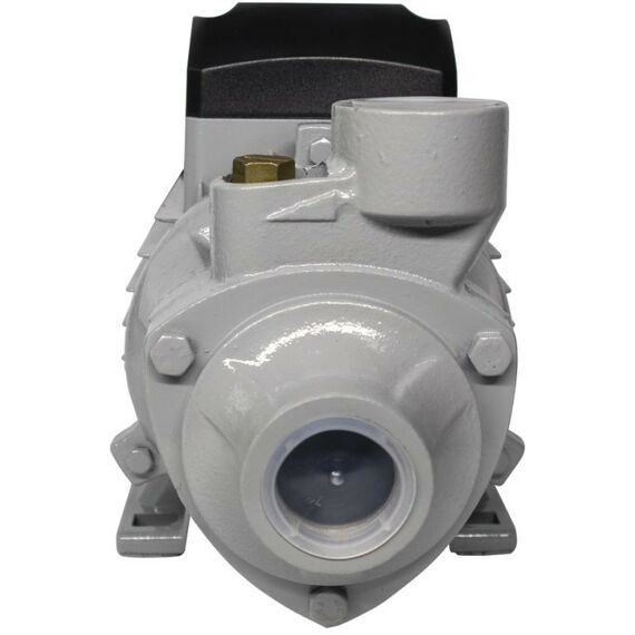 Насосы и насосные станции: Поверхностный насос РЕСАНТА ПСН-3300Ч фотографии