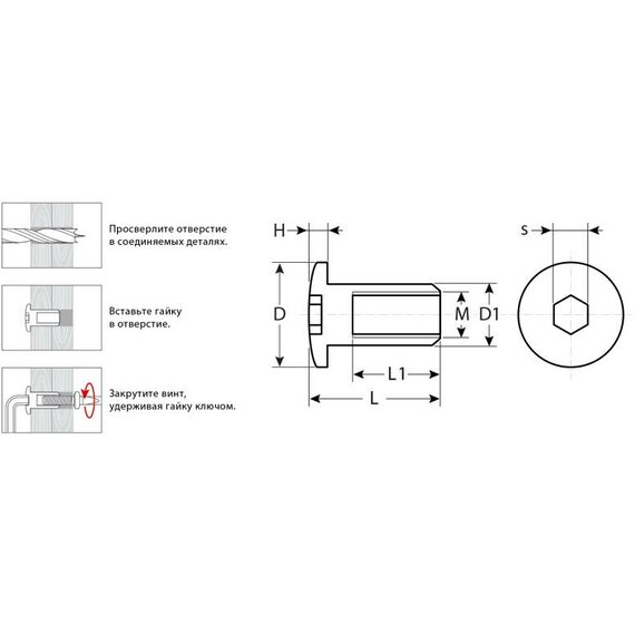 Мебельный крепеж: Гайка Эриксона с полукруглой головкой Зубр M6x12мм 5 кг (730 шт), оцинкованная, шест. 4мм, [303760-4] фотографии